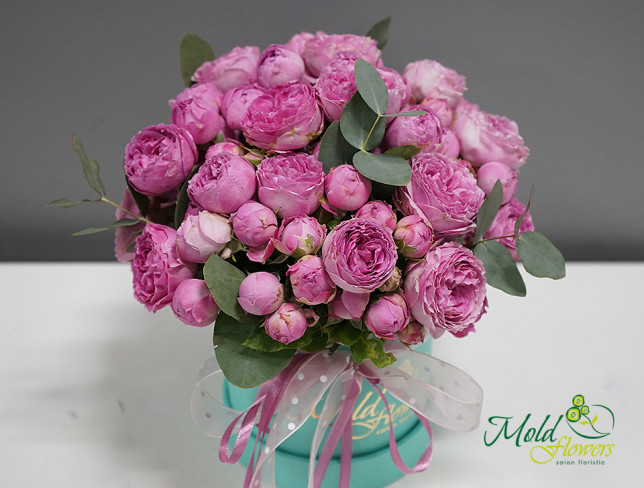 Box with pink peony-style roses photo